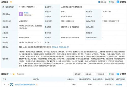 萬達在上海成立數字科技公司，布局互聯網銷售與數據服務賽道